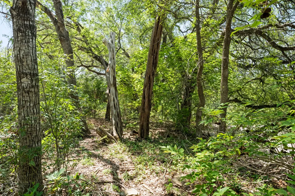509 Kingfisher Creek Drive Austin, TX 78748