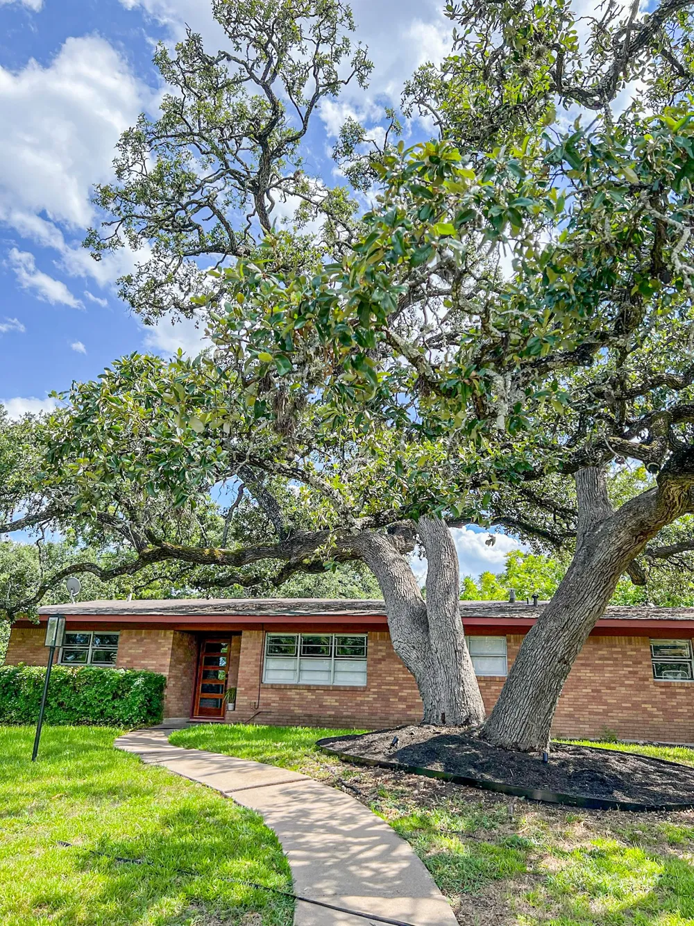 205 W Covington Drive Austin, TX 78753