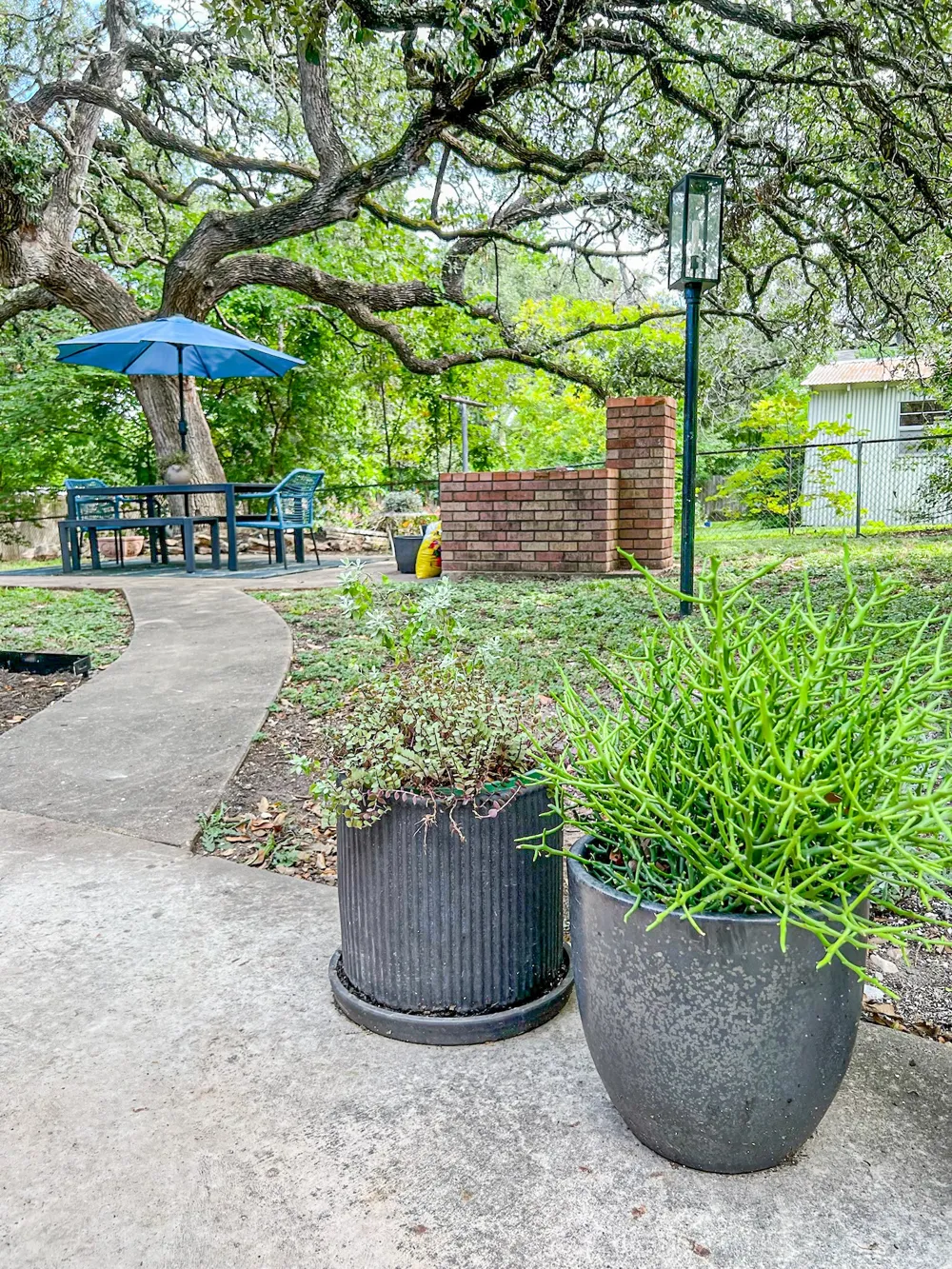 205 W Covington Drive Austin, TX 78753