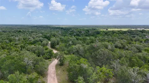 CR 420