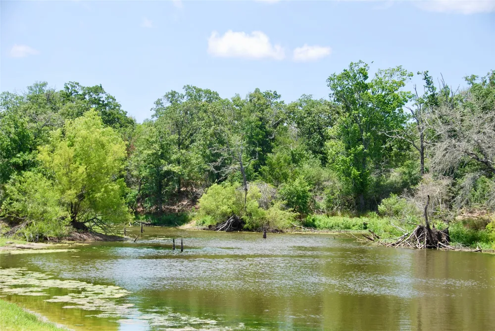 CR 420 Waelder, TX 78959