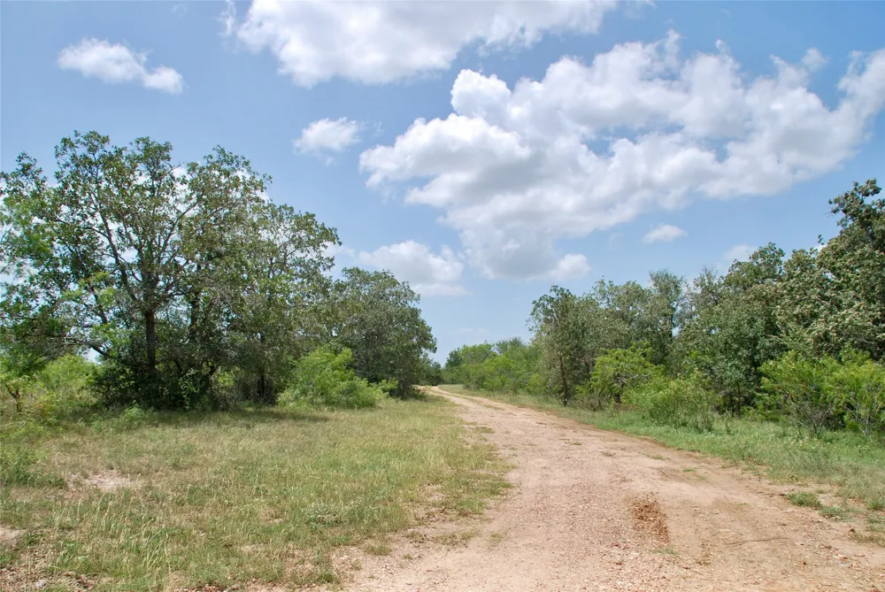 CR 420 Waelder, TX 78959