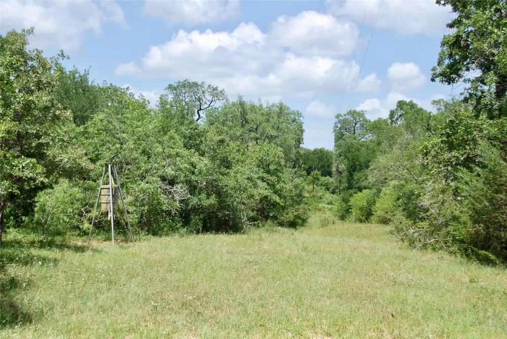 CR 420 Waelder, TX 78959
