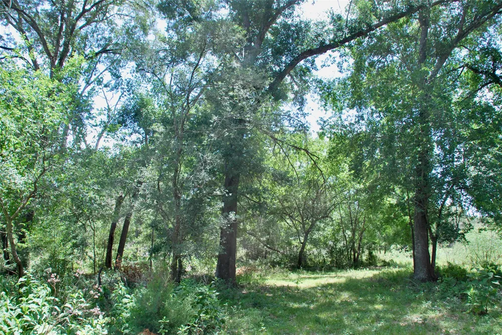 CR 420 Waelder, TX 78959