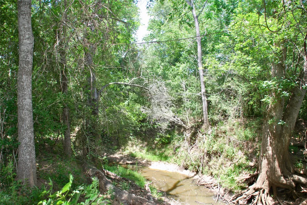 CR 420 Waelder, TX 78959