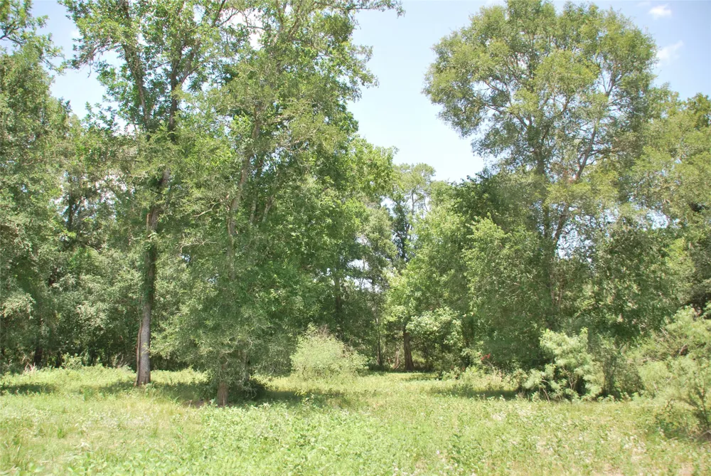 CR 420 Waelder, TX 78959
