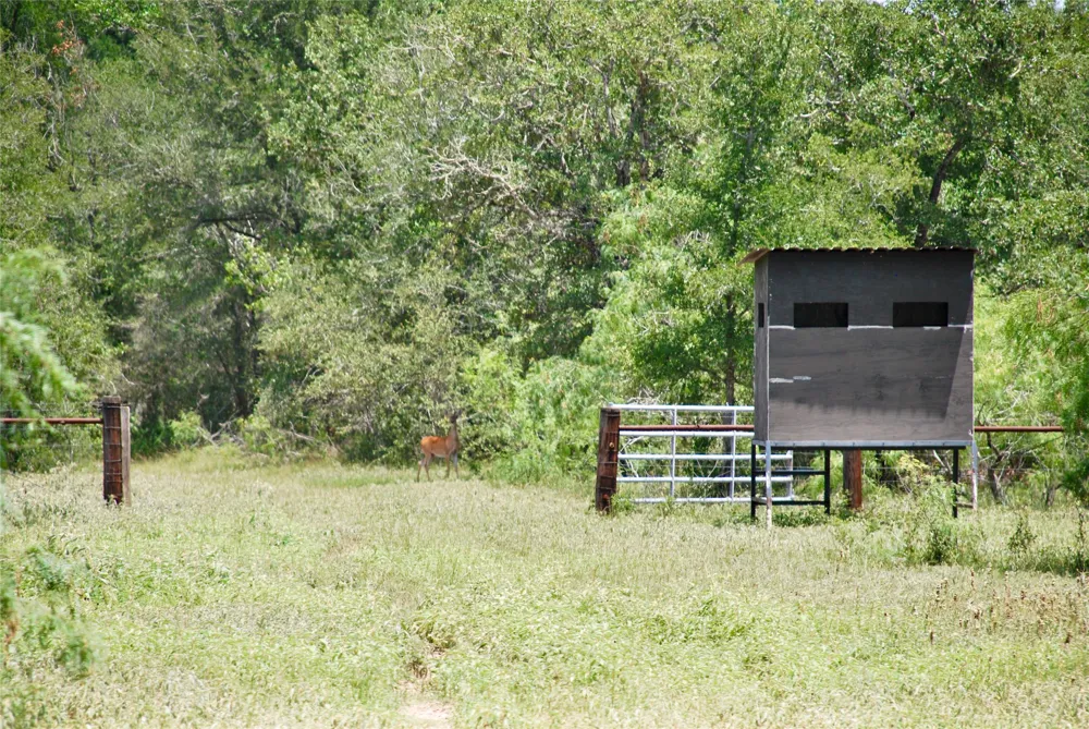 CR 420 Waelder, TX 78959
