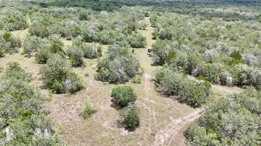 CR 420 Waelder, TX 78959