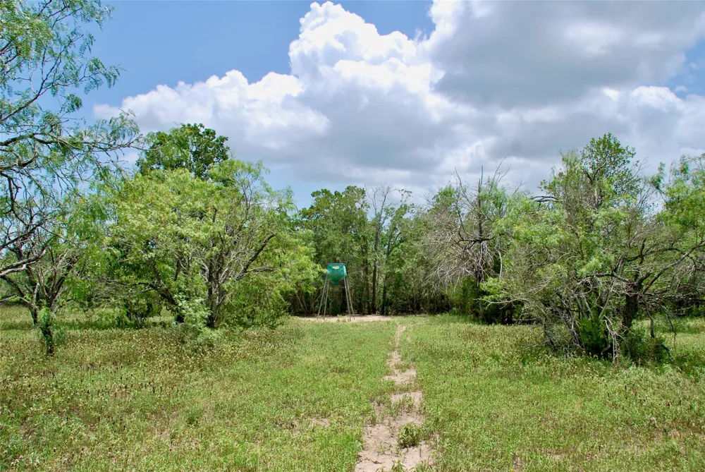 CR 420 Waelder, TX 78959