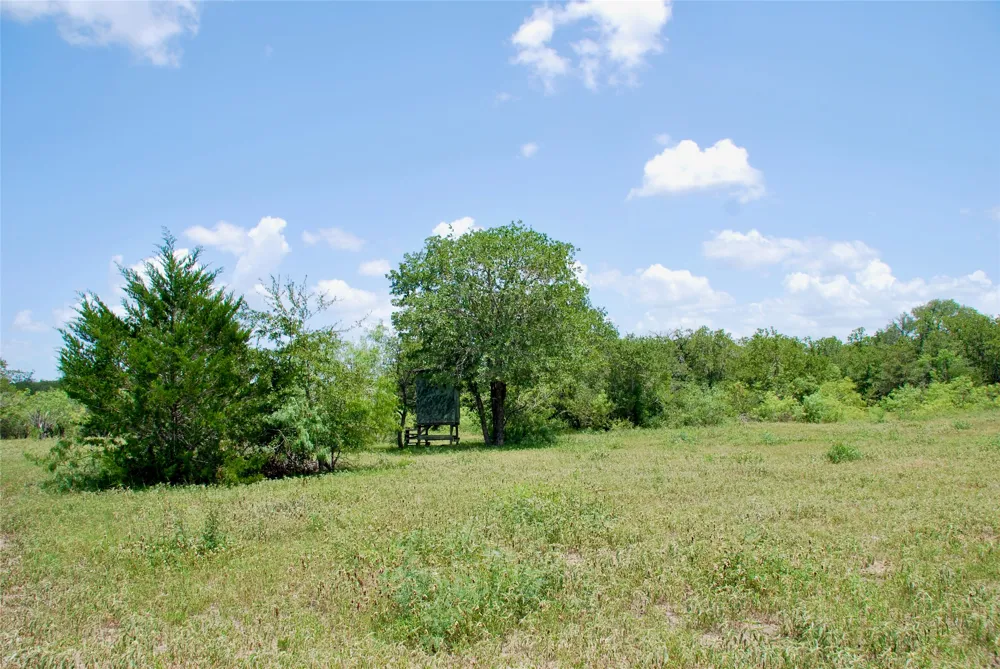 CR 420 Waelder, TX 78959