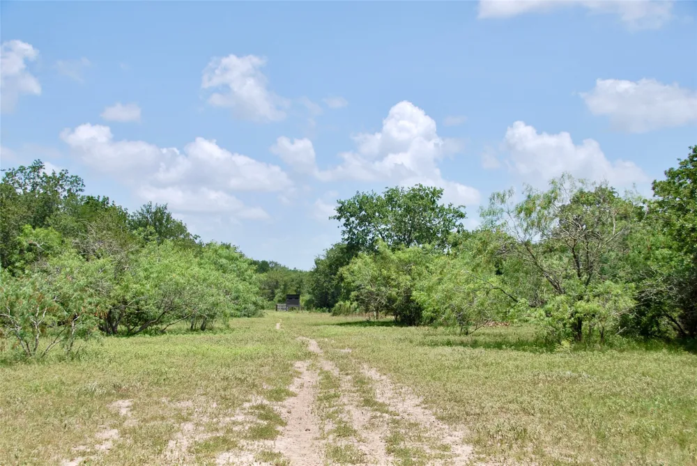 CR 420 Waelder, TX 78959