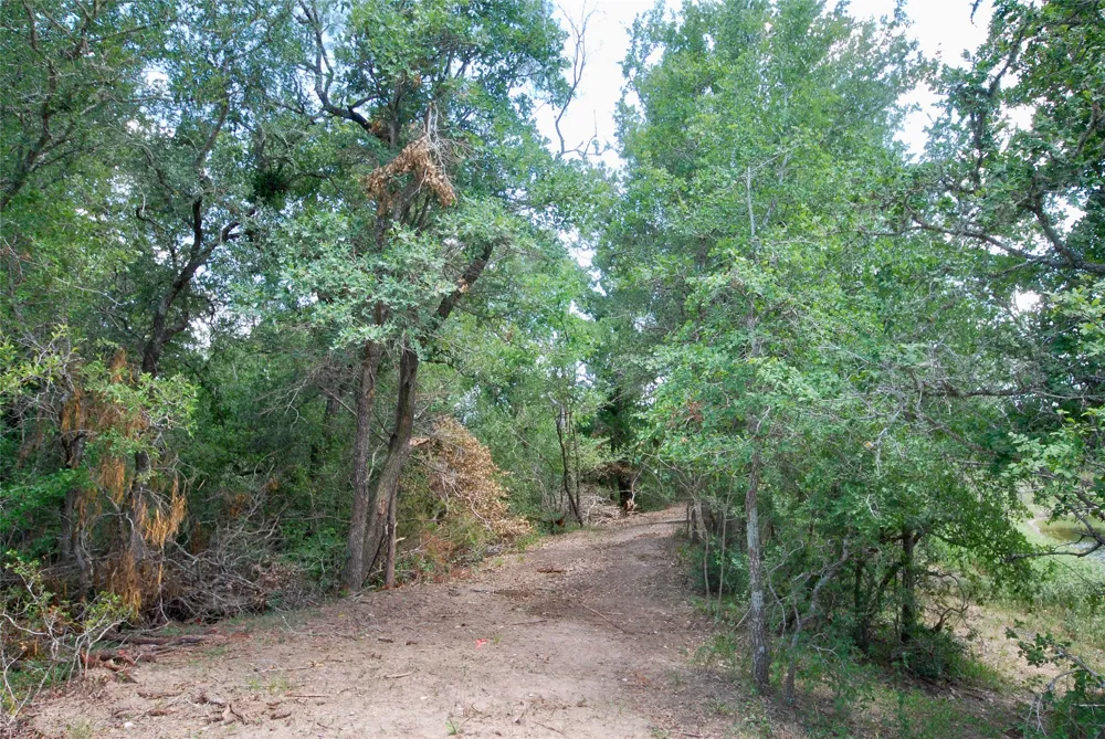 CR 420 Waelder, TX 78959