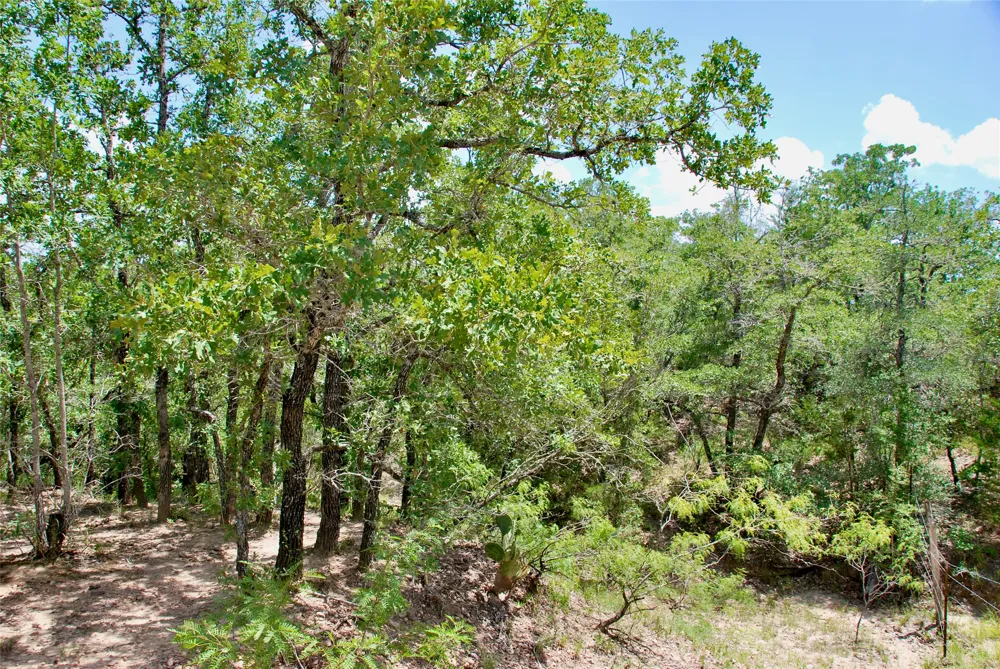 CR 420 Waelder, TX 78959