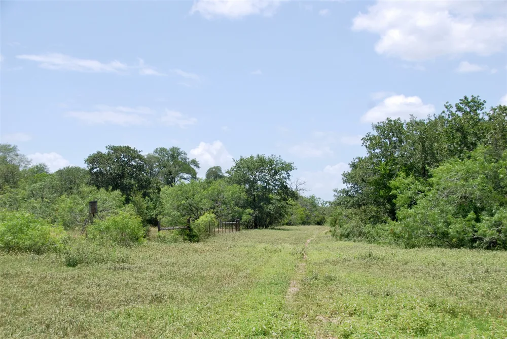 CR 420 Waelder, TX 78959