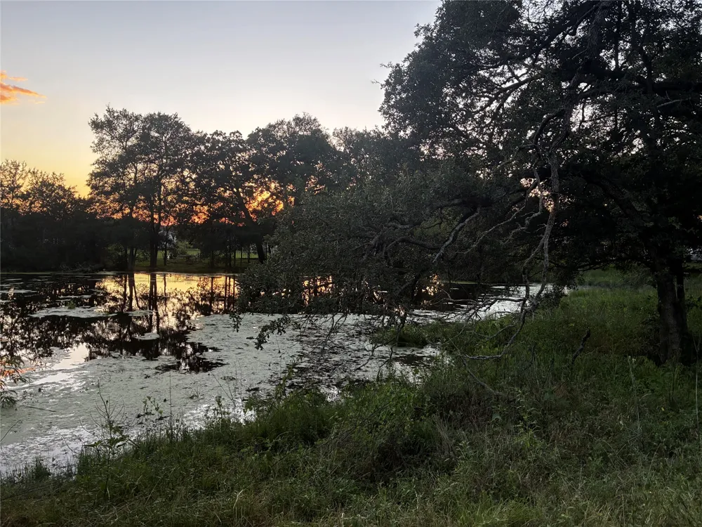 137 Wamel Way Cedar Creek, TX 78612