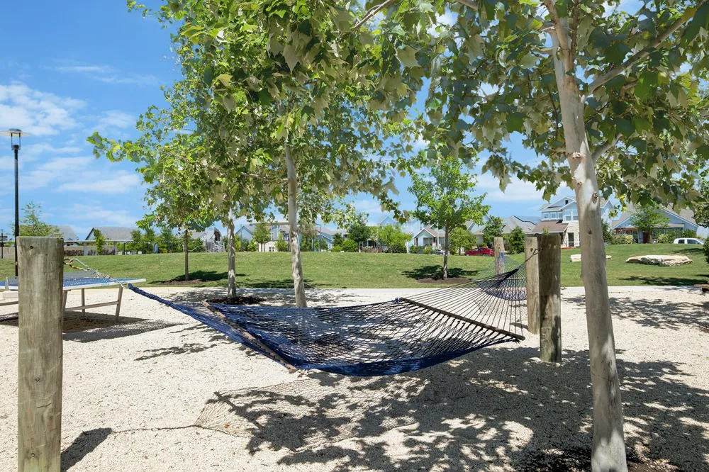 8816 Mina Drive Austin, TX 78747