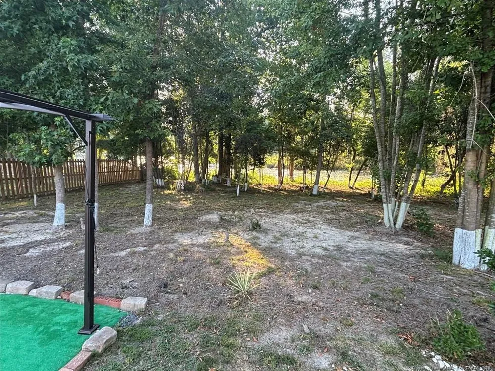 168 Placid Pond Drive Broadway, NC 27505