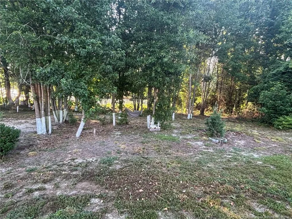 168 Placid Pond Drive Broadway, NC 27505