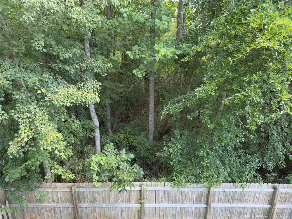 41 Shallow Ford Street Cameron, NC 28326