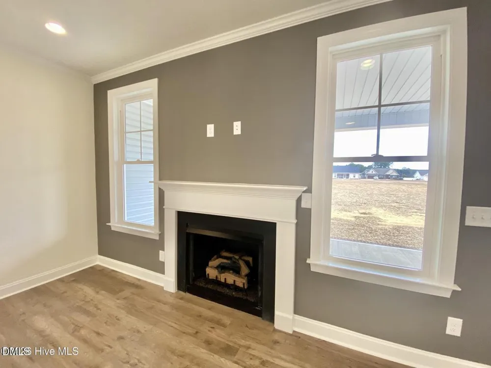 203 Rae Drive Pikeville, NC 27863