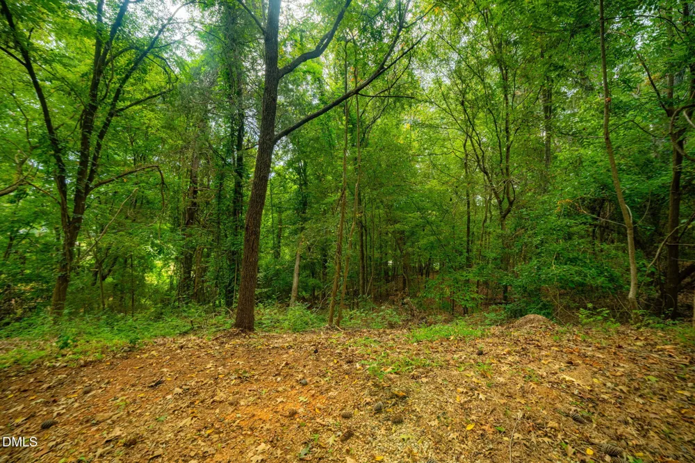 105 Wright Hill Drive Durham, NC 27712