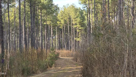 00 Hal Moore Lane