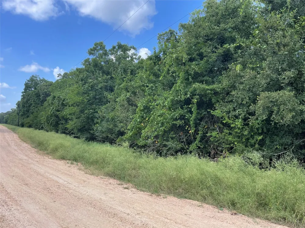 Laguna Vista Drive Needville, TX 77461