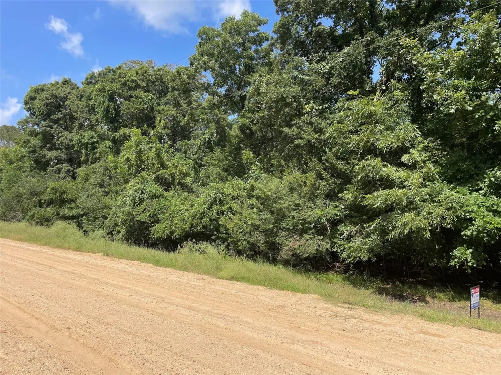 Laguna Vista Drive Needville, TX 77461