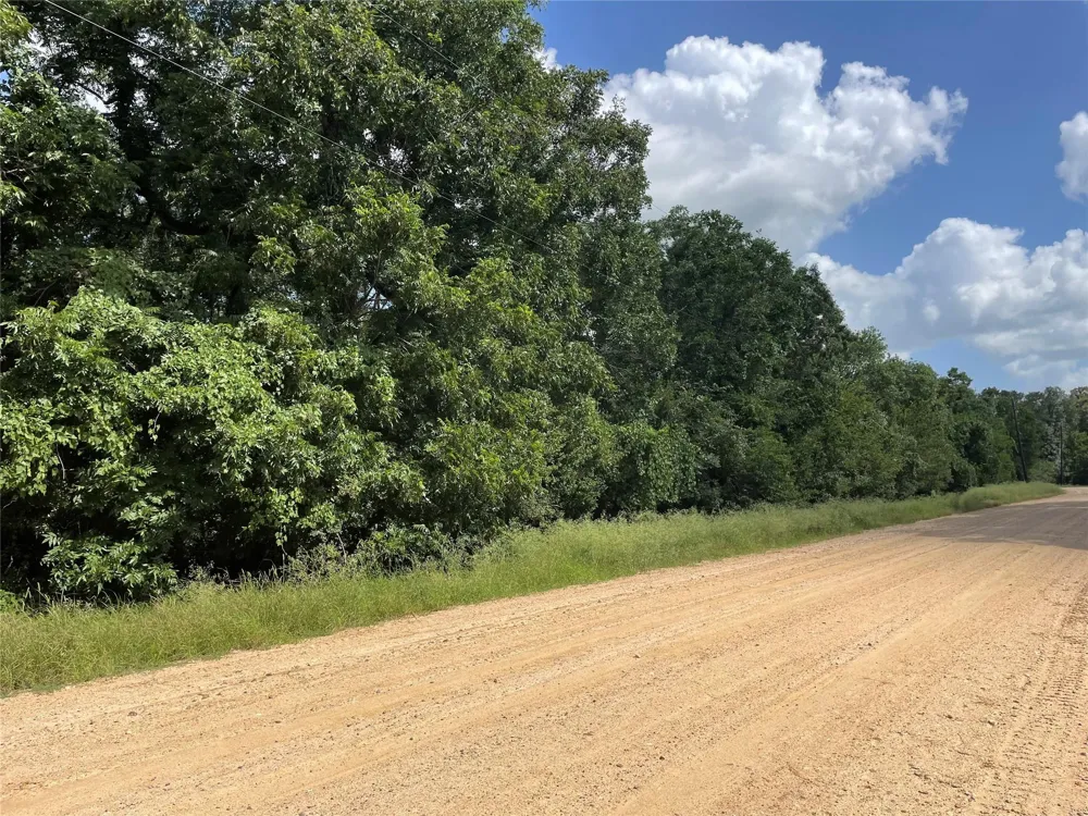 Laguna Vista Drive Needville, TX 77461