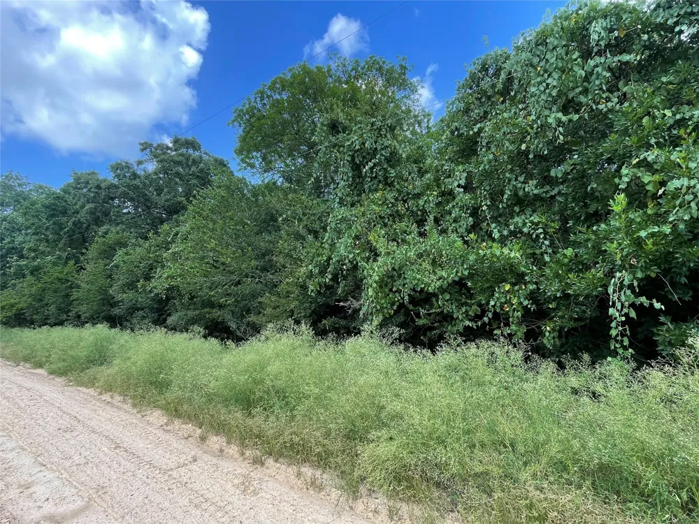 Laguna Vista Drive Needville, TX 77461