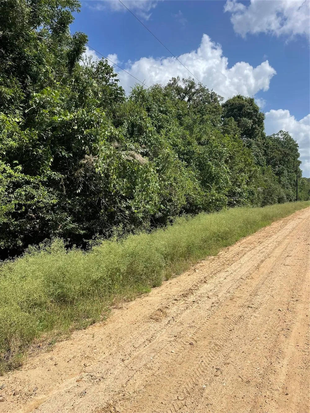 Laguna Vista Drive Needville, TX 77461