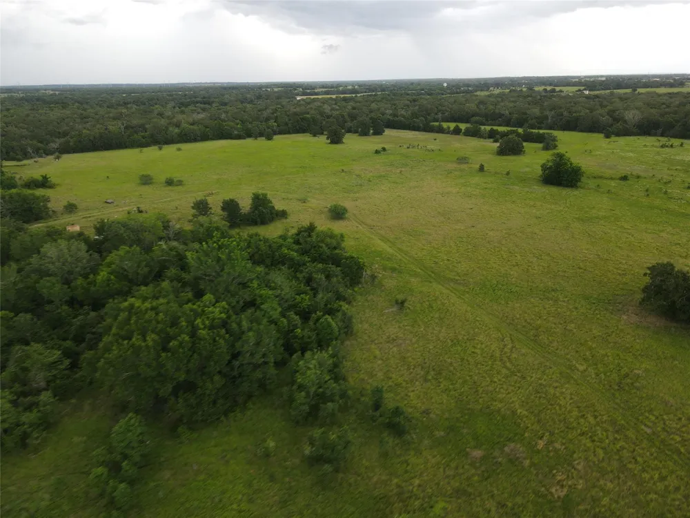 19046 County Road 124 Bedias, TX 77831