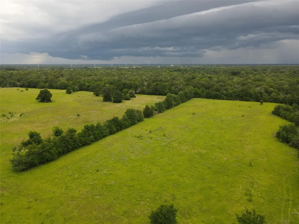 19046 County Road 124 Bedias, TX 77831