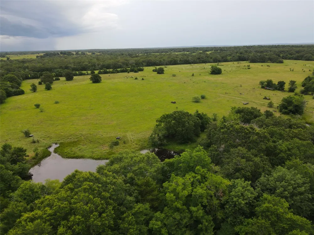 19046 County Road 124 Bedias, TX 77831