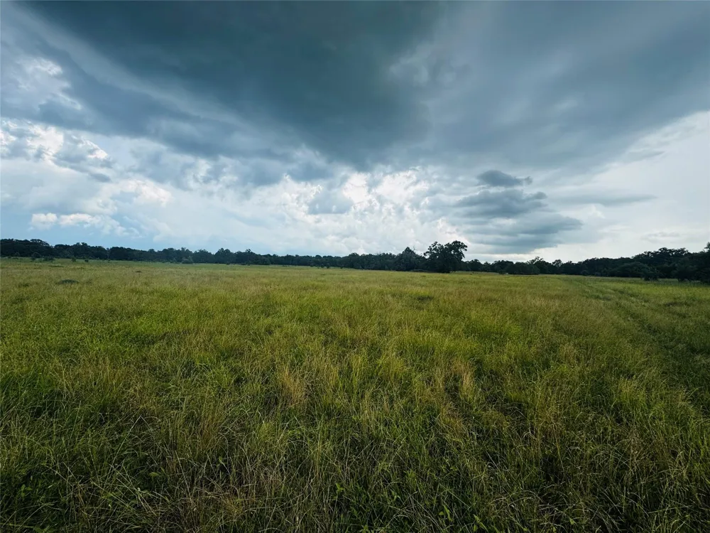 19046 County Road 124 Bedias, TX 77831