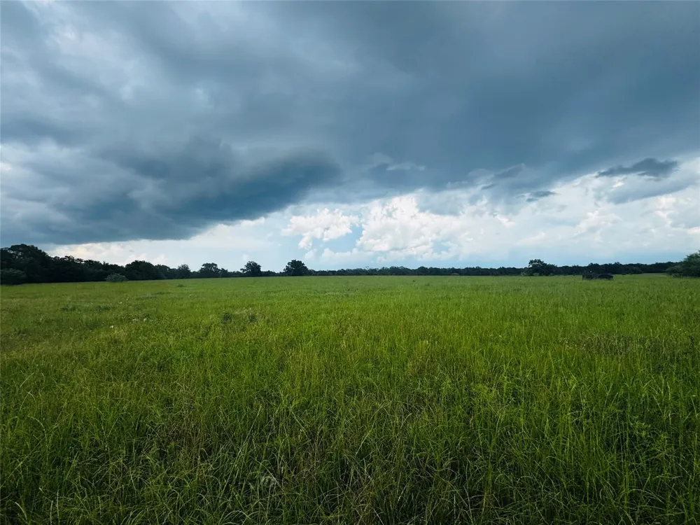 19046 County Road 124 Bedias, TX 77831