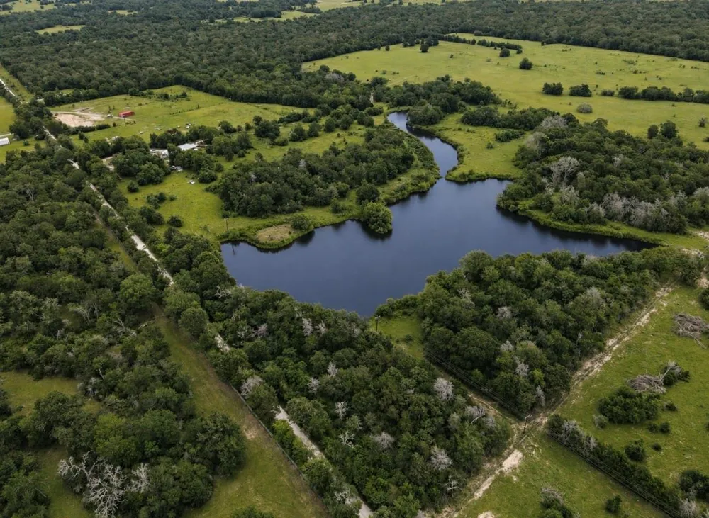 19046 County Road 124 Bedias, TX 77831