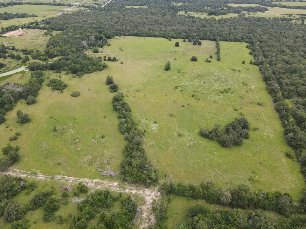19046 County Road 124 Bedias, TX 77831