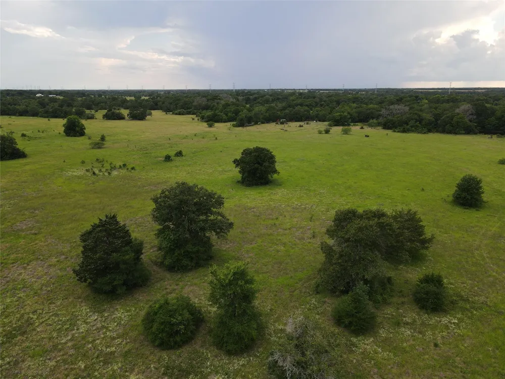19046 County Road 124 Bedias, TX 77831