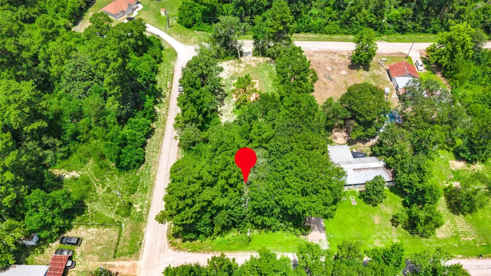 Elaine Avenue Shepherd, TX 77371