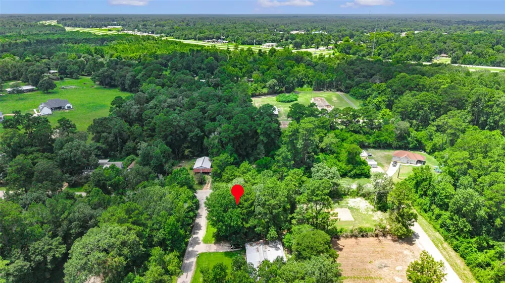 Elaine Avenue Shepherd, TX 77371