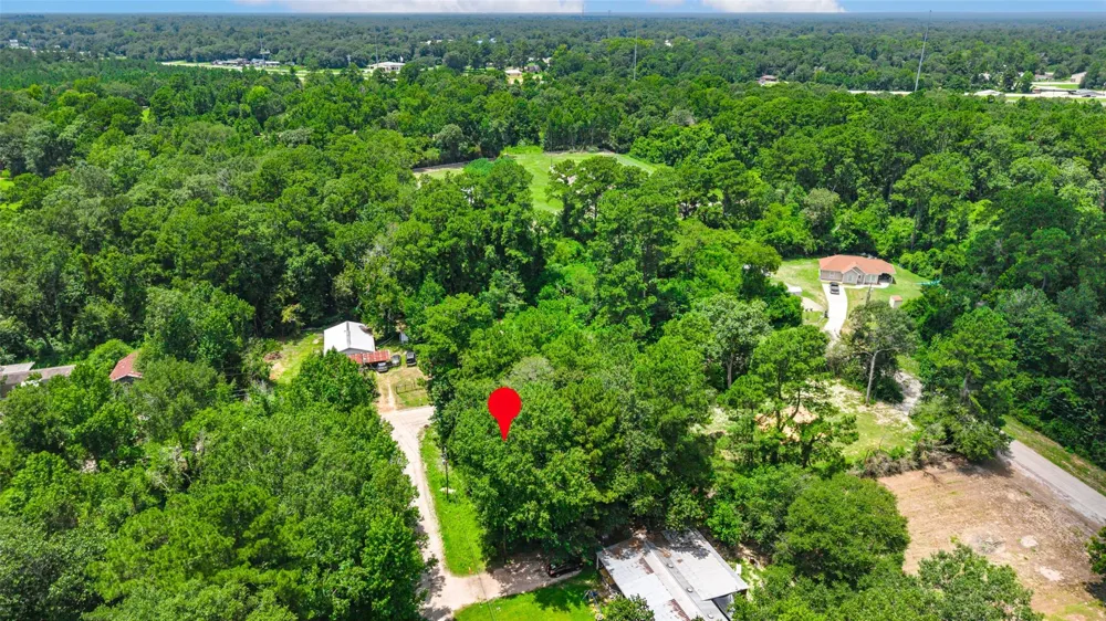 Elaine Avenue Shepherd, TX 77371