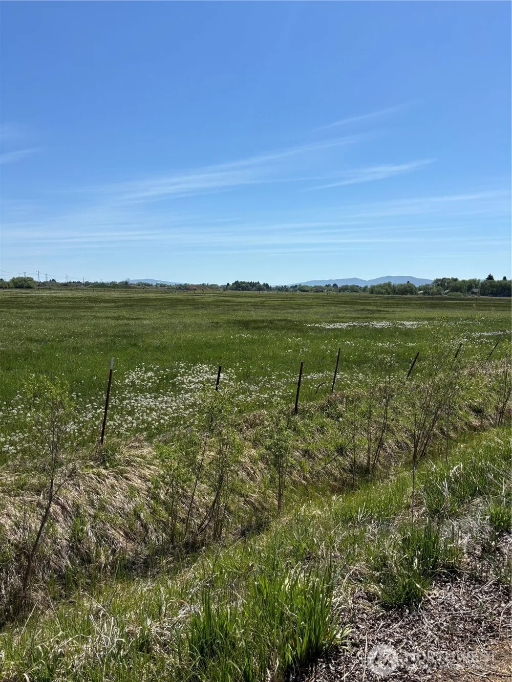 1 Reecer Creek Rd. Ellensburg, WA 98926