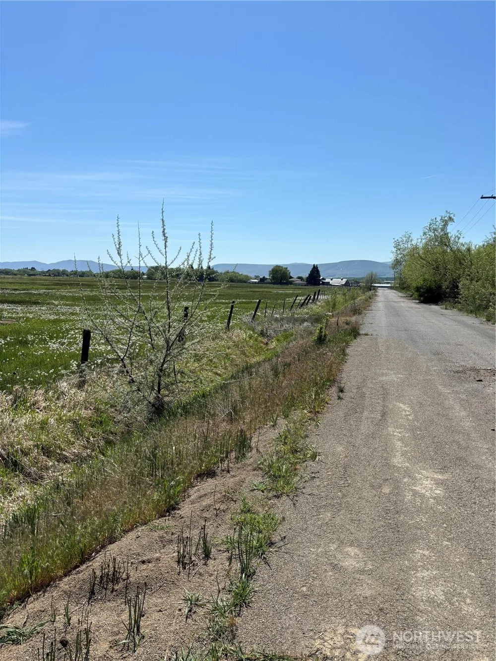 1 Reecer Creek Rd. Ellensburg, WA 98926