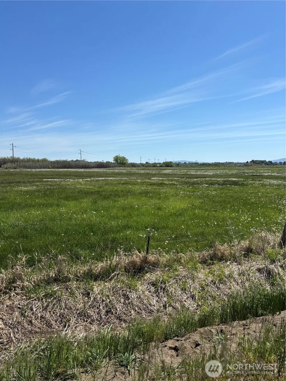 1 Reecer Creek Rd. Ellensburg, WA 98926