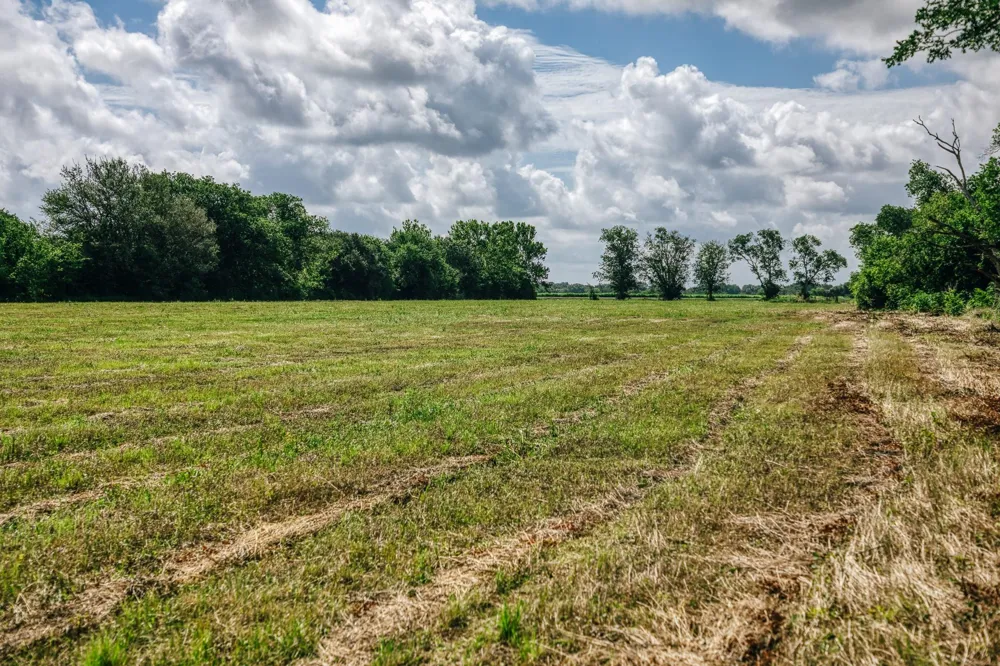 Fm 60 Snook, TX 77878