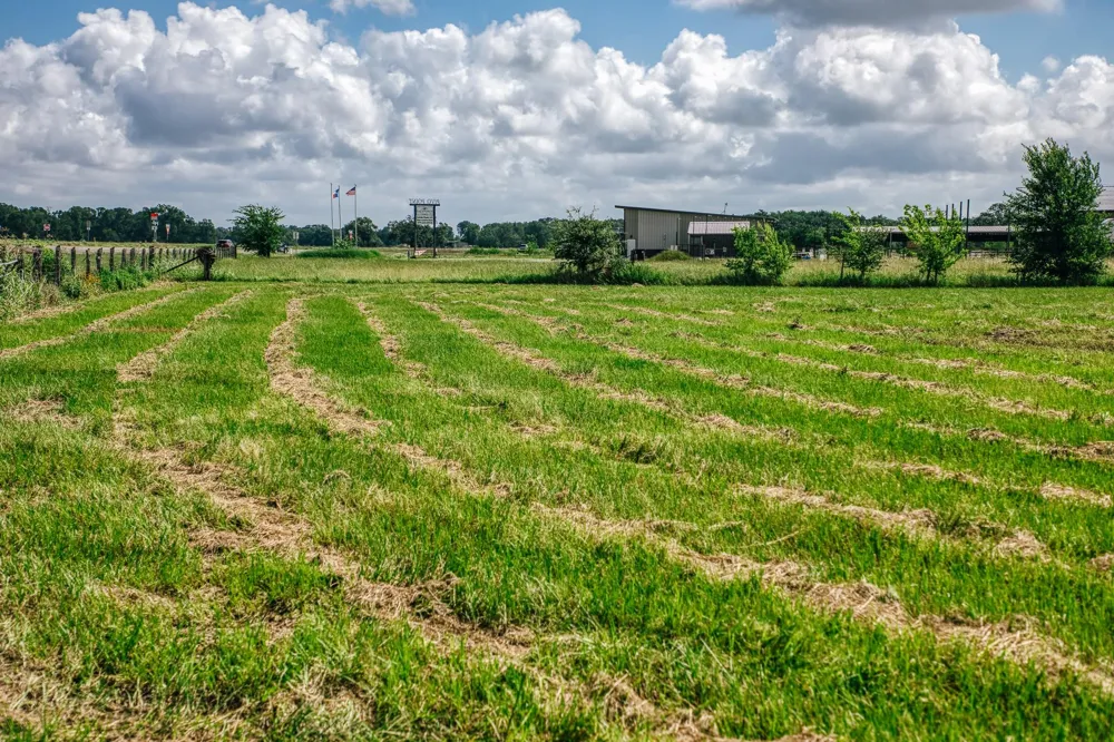 Fm 60 Snook, TX 77878
