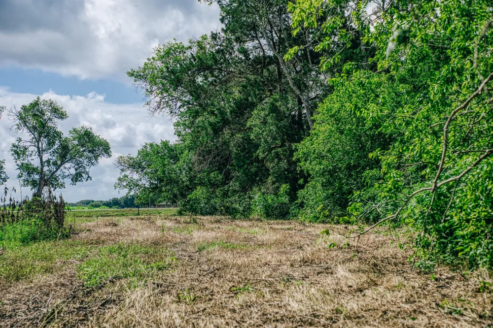 Fm 60 Snook, TX 77878