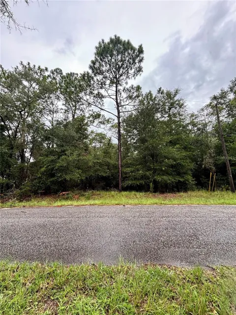 Lot 28 SW 206 CIRCLE