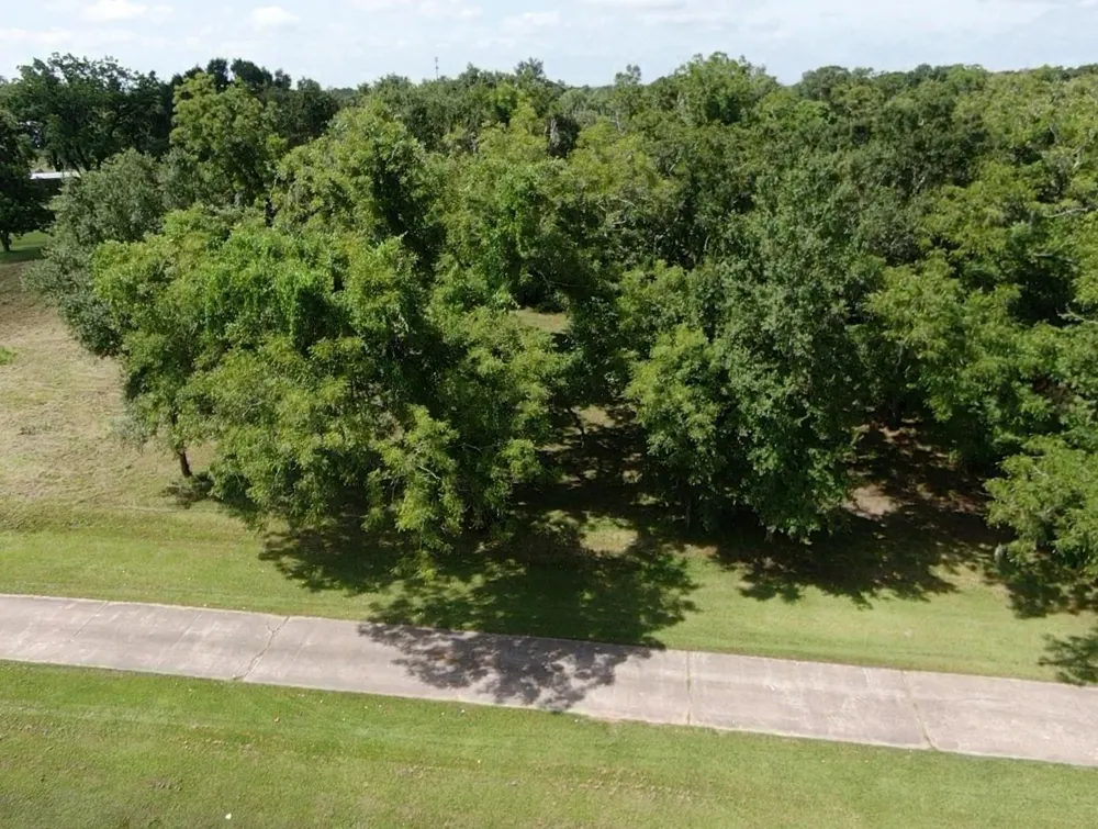 130 Sally Lake Court Angleton, TX 77515